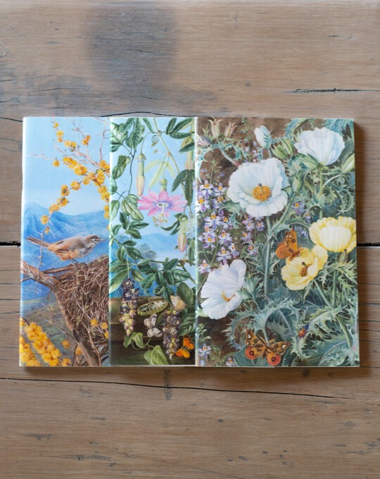 Libreta Marianne North