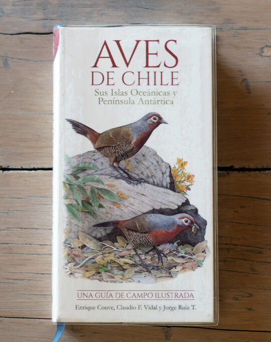 Aves de chile Guia Ilustrada