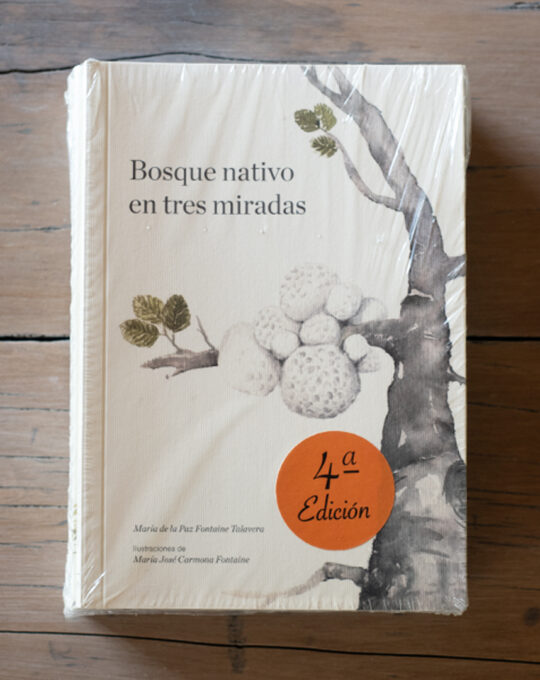 Bosque nativo en tres miradas