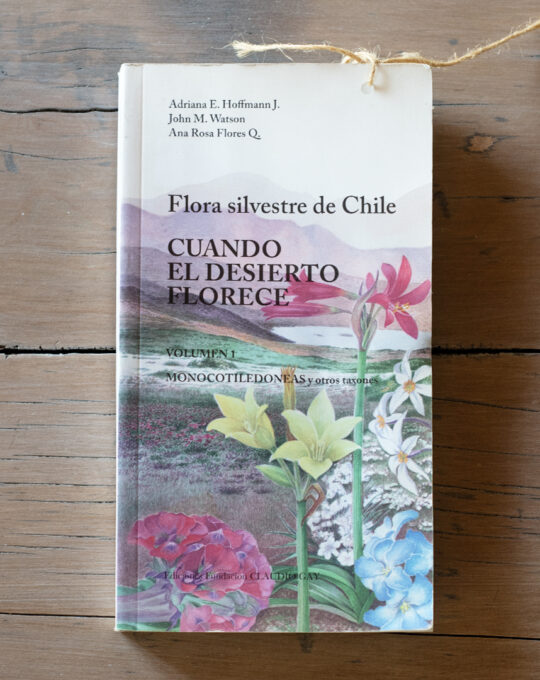 Cuando el desierto florece