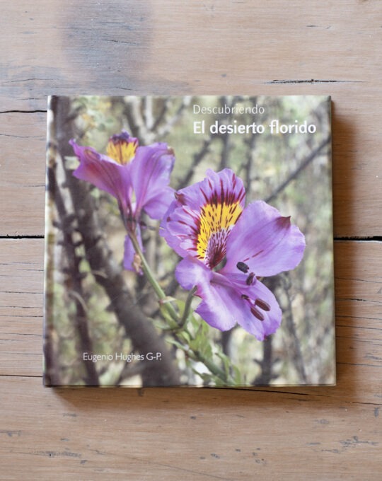 Descubriendo el desierto florido