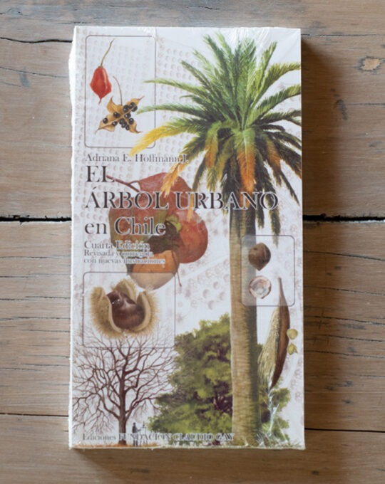 El arbol urbano en Chile
