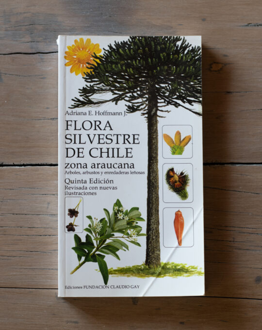 Flora silvestre de Chile Zona Araucana