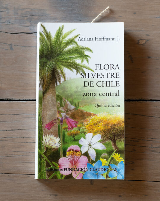 Flora silvestre de chile zona central