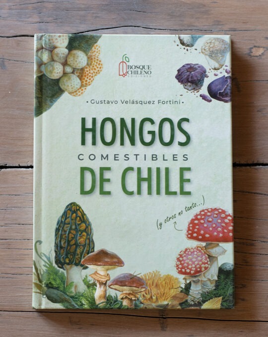 Hongos comestibles de Chile