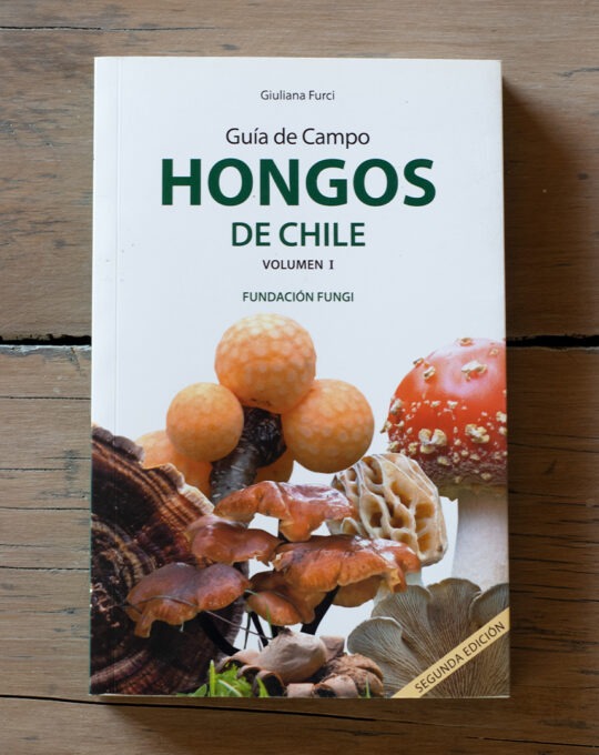 Hongos de Chile