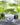Ming-con-plato-24×17-1.jpg