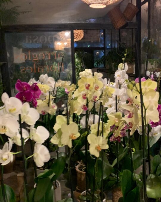 WhatsApp Image 2025-05-08 at 13.53.34 (2)