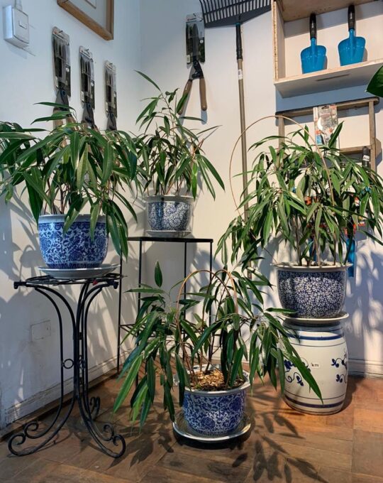 WhatsApp Image 2025-05-17 at 11.20.45 (2)