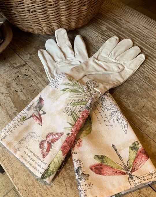 WhatsApp Image 2025-08-07 at 11.19.58