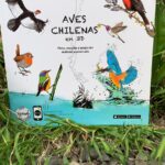 Aves Chilenas en 3D